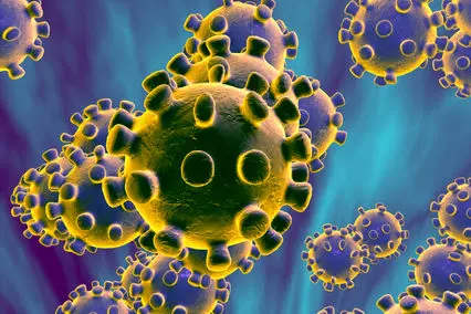 هاشمی: هیچ مخفی‌کاری درباره کرونا وجود ندارد/ مردم زندگی عادی‌شان را تعطیل نکنند