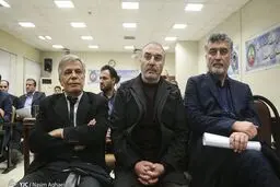 دومین پرونده فساد اقتصادی پس از بابک زنجانی روی میز قاضی صلواتی