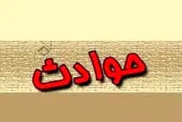 ربودن دختر صاحبکار برای ازدواج پنهانی/ پدر راز ناپدید شدن دخترش را برملا کرد؟