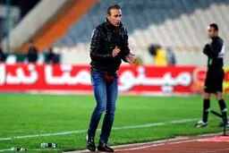 گل‌محمدی: دست‌شان به جام نمی‌رسد و تهمت می‌زنند