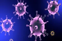 از کرونا تا چک برگشتی