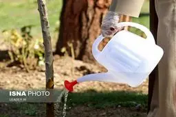 پس از کاشتن دو نهال میوه به مناسبت روز درختکاری انجام شد توصیه‌های رهبر انقلاب اسلامی به مردم در خصوص بیماری شایع‌شده