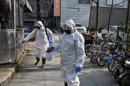 بدن در مقابل ویروس کرونا چه واکنشی نشان می‌دهد؟