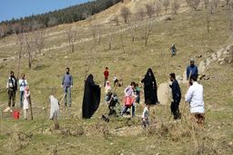 کاشت ۱۵۰ هزار نهال یادبود حاج قاسم سلیمانی برای مستضعفان