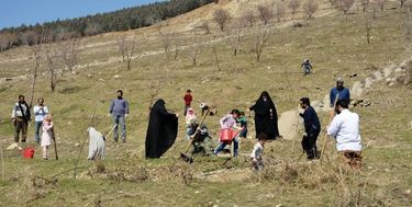 کاشت ۱۵۰ هزار نهال یادبود حاج قاسم سلیمانی برای مستضعفان