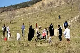 کاشت ۱۵۰ هزار نهال یادبود حاج قاسم سلیمانی برای مستضعفان