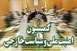 کمیسیون امنیت مجلس کشتار بی‌رحمانه مسلمانان هند را محکوم کرد