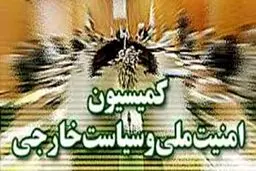 کمیسیون امنیت مجلس کشتار بی‌رحمانه مسلمانان هند را محکوم کرد