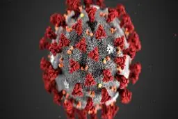 آخرین آمار کرونا در ایران؛ تعداد مبتلایان به ویروس کرونا به ۵۸۲۳ نفر افزایش یافت