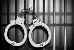 بازداشت ۵۸ نفر اخلالگر نظام سلامت و بازار ارز/ کیفرخواست محتکران ماسک صادر شد