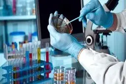 کیت‌های تشخیص سریع کرونا در راه ایران