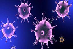 اعلام وضعیت اضطراری در فرانسه؛ کرونا کسب و کار فرانسوی‌ها را مختل کرد