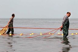 دلایل قانع‌کننده شورای امنیت ملی مبنی بر عدم قرنطینه استان گیلان / میزان ورود بیماران کرونایی به بیمارستان‌ها‌ کاهش یافت‌