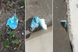 در بررسی مشکلی حادتر از اپیدمی کرونا؛ به فکر سلامت پاکبانان شهر باشیم