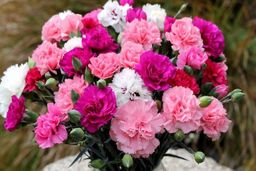 کرونا دامن بازار گل شب عید را هم گرفت+قیمت