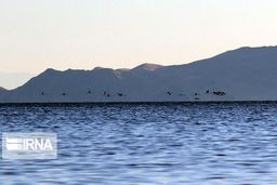 دریاچه ارومیه با افزایش ۵۸ سانتی‌متری تراز به استقبال بهار رفت