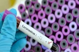 رشد مبتلایان به بیماری کرونا در استان تهران متوقف شد