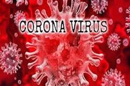 نداشتن «تب» دلیل عدم ابتلا به کرونا نیست/ انجام غربالگری هنگام بازگشت مسافران تهرانی