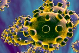 بررسی بار مالی ناشی از شیوع ویروس کرونا بر صندوق های بازنشستگی