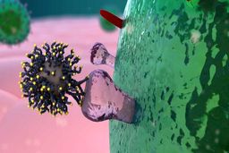 کنشگری رسانه‌ای و کرونا