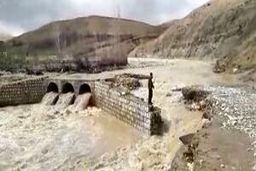 بارش‌های بیش از حد نرمال در روزهای ابتدایی سال ۹۹