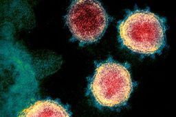 شواهد تازه از احتمال وقفه در شیوع «کرونای جدید» با گرم شدن هوا