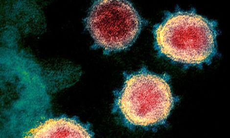 طراحی نرم‌افزاری برای شکست زنجیره انتقال کرونا