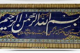 مادر عروس رهبر انقلاب بدلیل کرونا درگذشت