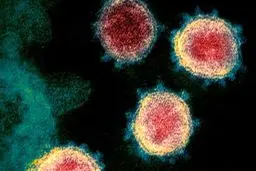 ورزش در چه مرحله ای از ابتلا به کرونا ممنوع است؟