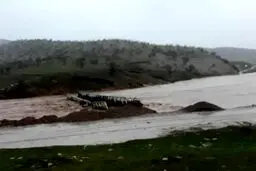 خسارت ۱۳۵۸ میلیارد تومانی سیل به بخش کشاورزی