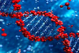 بررسی ژنتیک ایرانی‌ها، توسط «فرقه‌ای خاص» در ایالات متحده/ «نبرد بیولوژیک» محتمل است