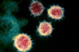 همه چیز درباره کرونا ویروس و چند توصیه