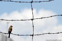ادامه شورش در زندان‌ها؛ فرار بیش از ۸۰ زندانی در سقز