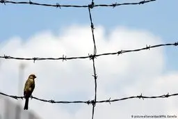 ادامه شورش در زندان‌ها؛ فرار بیش از ۸۰ زندانی در سقز