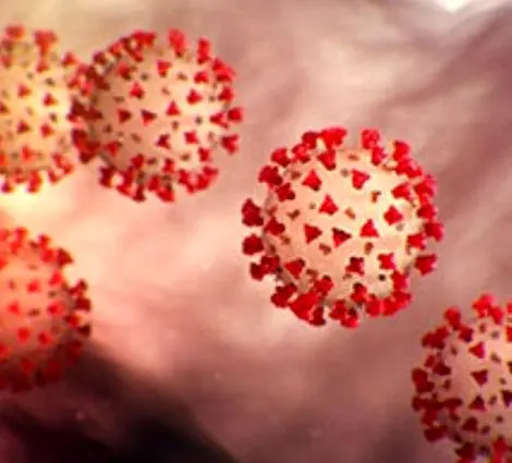 چه اتفاقی ممکن است برای زنان باردار مبتلا به کرونا بیفتد؟