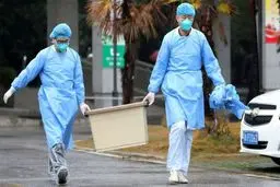 مقام استرالیایی: آمار جهانی مبتلایان به کرونا ۱۰ برابر رقم واقعی است