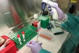 علم و فناوریسلامت تولید واکسنی که ویروس کرونا را یک سال خنثی می‌کند