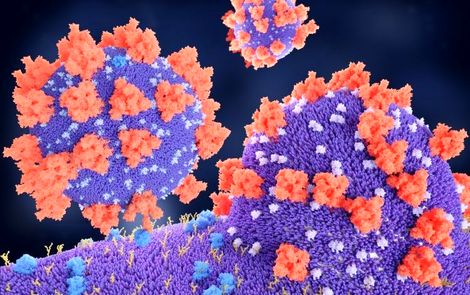 ماجراهای عجیب کرونا در جهان