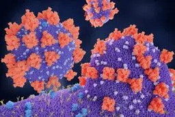 ماجراهای عجیب کرونا در جهان