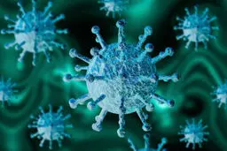 چگونه در محیط کار از کرونا در امان بمانیم؟