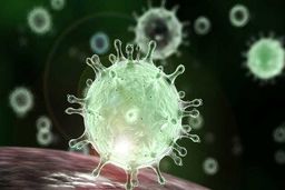 در ایام قرنطینه ممکن است دلتنگ چه کسانی شویم؟‎