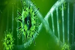 هوش مصنوعی روش قطعی در تشخیص کرونا نیست