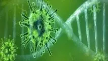 هوش مصنوعی روش قطعی در تشخیص کرونا نیست