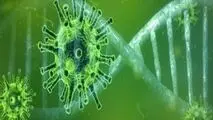هوش مصنوعی روش قطعی در تشخیص کرونا نیست