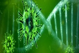 اثر پروانه‌ای کرونا و مسئولیت ما برای جلوگیری از طوفان شیوع