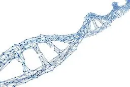 یک واکسن جدید کروناویروس وارد فاز آزمایش انسانی می‌شود