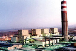 کرونا حریف نیروگاه‌ها نشد