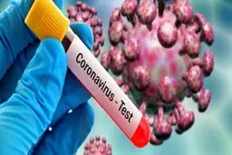 باورهای غلط در پیشگیری و درمان کرونا/ احتمال ابتلای معتادان به کرونا بیشتر است