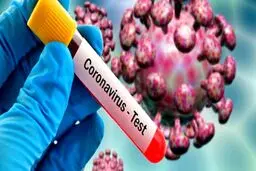 باورهای غلط در پیشگیری و درمان کرونا/ احتمال ابتلای معتادان به کرونا بیشتر است