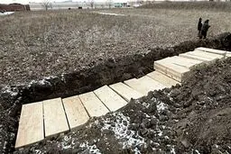 زندانیان گورهای دسته جمعی برای قربانیان کرونا در نیویورک حفر می‌کنند